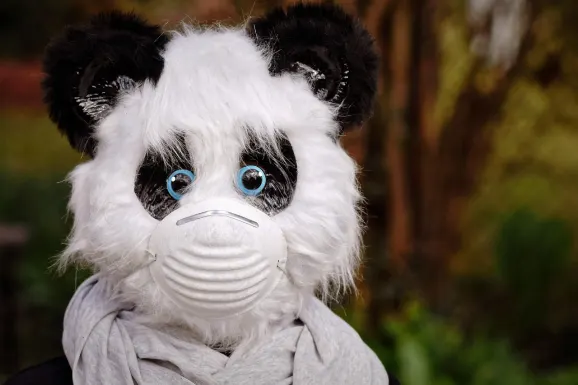 Θουνδερβολτ Καζίνο Υποστηριξη